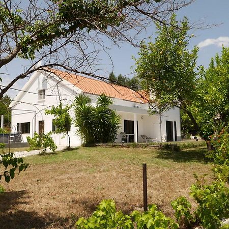 São Vicente da Beira Quinta Nas Colinasヴィラ エクステリア 写真