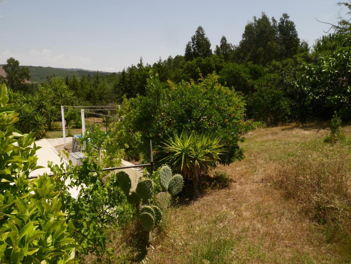 São Vicente da Beira Quinta Nas Colinasヴィラ エクステリア 写真