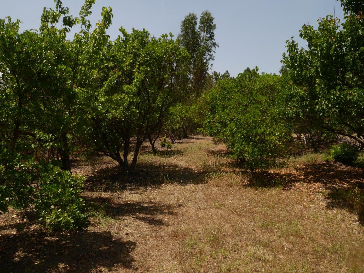 São Vicente da Beira Quinta Nas Colinasヴィラ エクステリア 写真