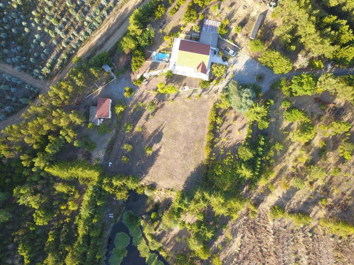 São Vicente da Beira Quinta Nas Colinasヴィラ エクステリア 写真